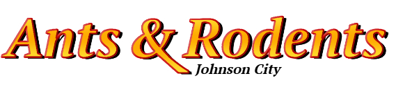 Johnson City Ant Exterminator & Rodent Control Company Logo